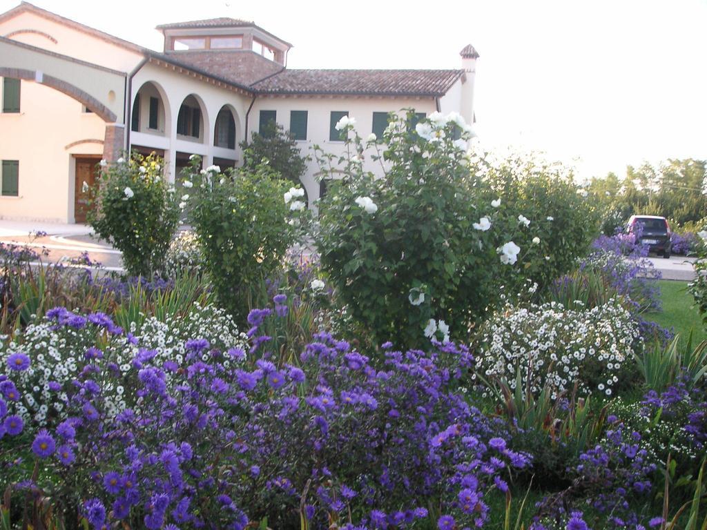 Agriturismo Due Torri Монтебелуна Екстериор снимка