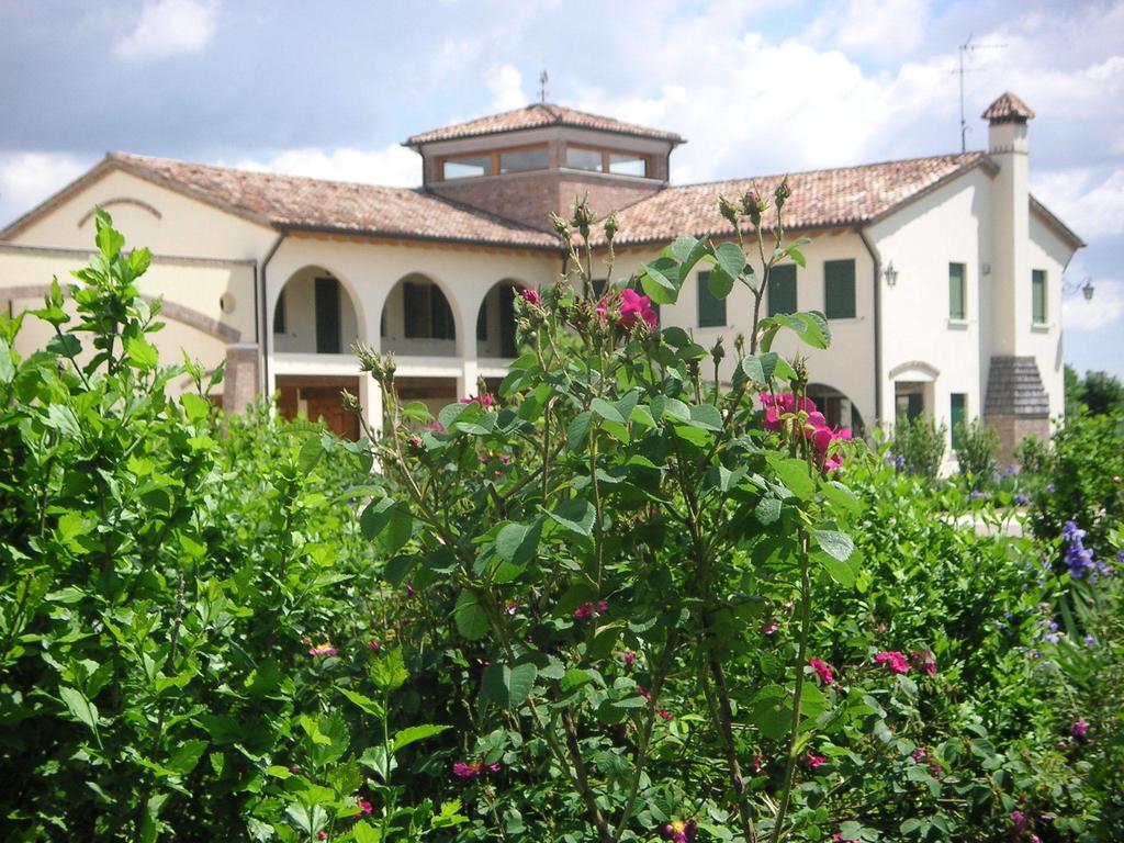 Agriturismo Due Torri Монтебелуна Екстериор снимка